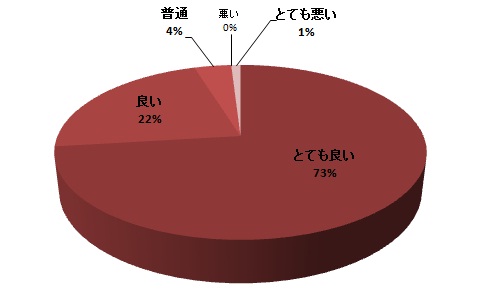 質問11円グラフ